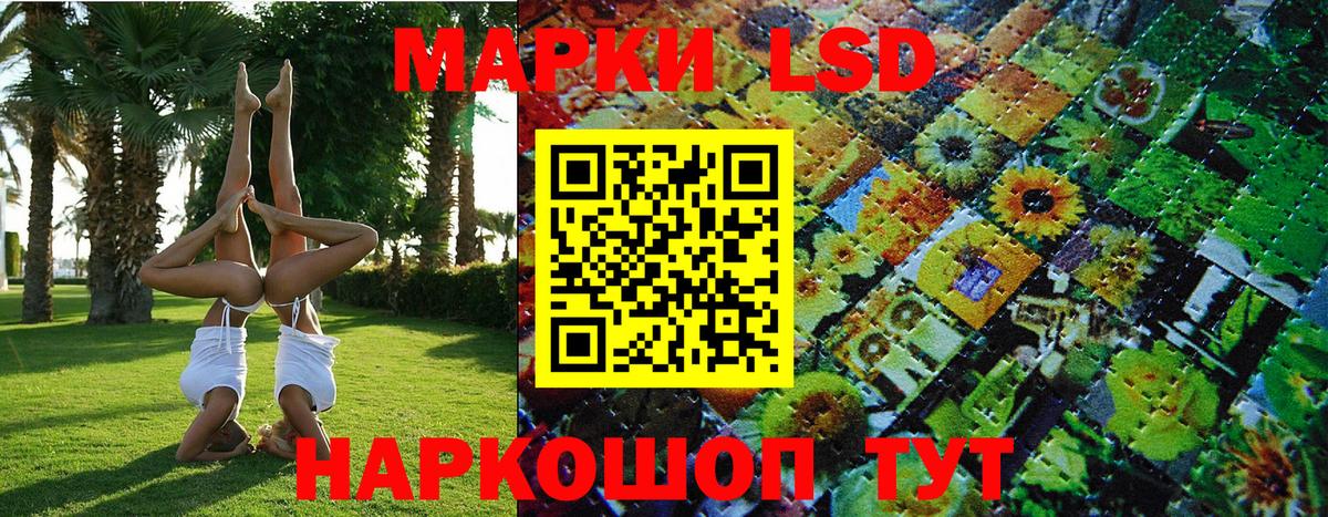 купить наркоту  Марки N-bome  Шебекино  Вход с VPN  Наркотические марки 1,8мг  Наркотические марки 1,8мг 