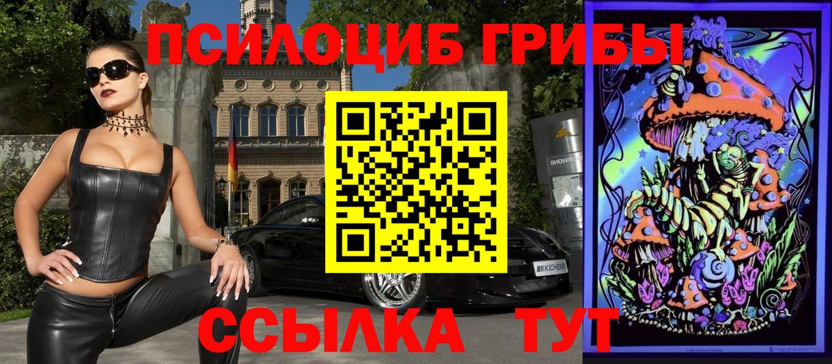 Галлюциногенные грибы Psilocybe Шебекино