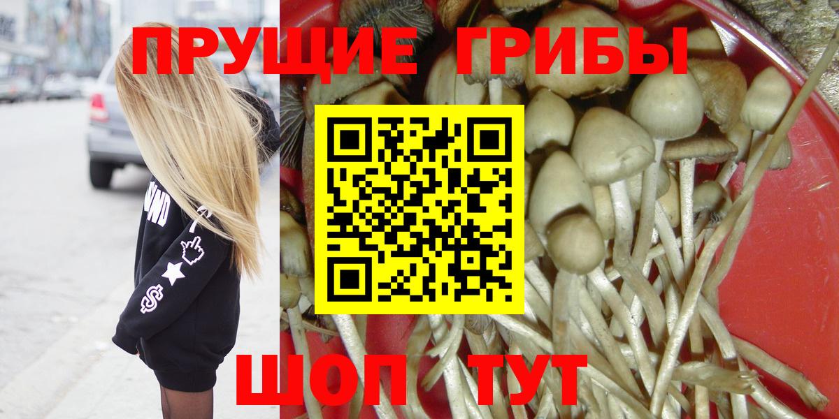 Галлюциногенные грибы прущие грибы  Вход с VPN  Шебекино 